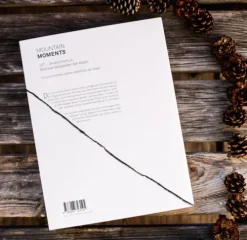 Mountain Moments Skiführer-45° - Skialpinismus: Steilwandklassiker der Alpen