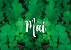 365 Glücksmomente*Pattloch Geschenkbuch Discount