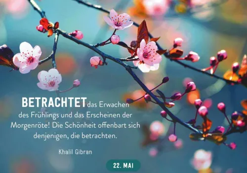 Pattloch Geschenkbuch Geburtstagskalender*365 gute Wünsche