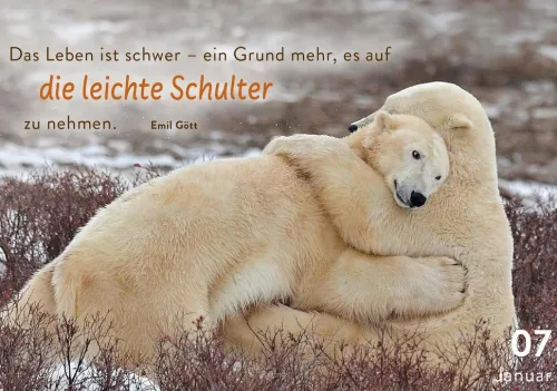 365 mal tierisch gut drauf!*Pattloch Geschenkbuch Best