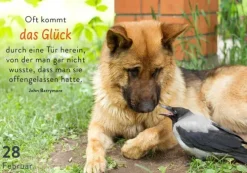 365 mal tierisch gut drauf!*Pattloch Geschenkbuch Best