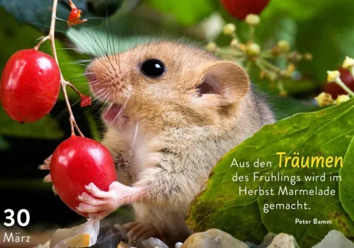 365 mal tierisch gut drauf!*Pattloch Geschenkbuch Best