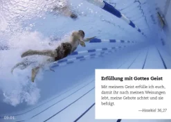 365 Verheißungen*Down to Earth Sale