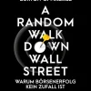 A Random Walk Down Wallstreet - warum Börsenerfolg kein Zufall ist*Finanzbuch Verlag Outlet