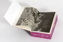 cbt Fantasy-A Sky Beyond the Storm