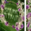 ONE Young Adult|Liebesromane*A Spark of Time - Ein Treffen in den Highlands