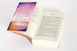 Abendlicht*Heyne Taschenbuch Clearance