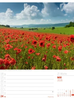 Ackermann Kunstverlag Wochenkalender-Abenteuer Deutschland Wochenplaner Kalender 2026 | Naturparadiese