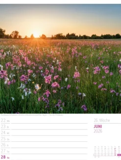 Ackermann Kunstverlag Wochenkalender-Abenteuer Deutschland Wochenplaner Kalender 2026 | Naturparadiese