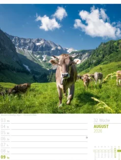 Ackermann Kunstverlag Wochenkalender-Abenteuer Deutschland Wochenplaner Kalender 2026 | Naturparadiese