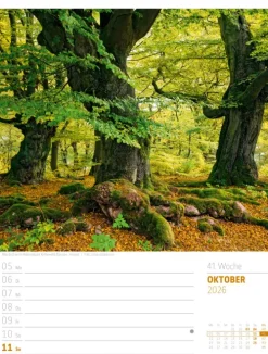Ackermann Kunstverlag Wochenkalender-Abenteuer Deutschland Wochenplaner Kalender 2026 | Naturparadiese