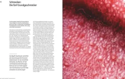 Graefe und Unzer Verlag Desserts*Abenteuer Geschmack!