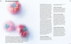 Graefe und Unzer Verlag Desserts*Abenteuer Geschmack!