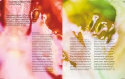 Graefe und Unzer Verlag Desserts*Abenteuer Geschmack!