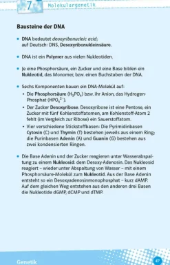 Klett Lerntraining Abi Trainer·Biologie*Abi last minute Biologie