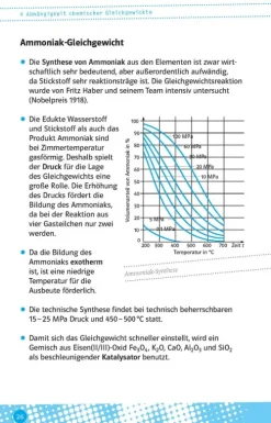 Klett Lerntraining Abi Trainer·Chemie*Abi last minute Chemie
