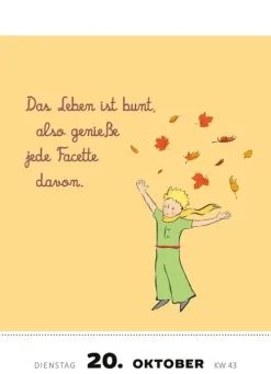 arsEdition Abreiß-Kalender*Abreißkalender Man sieht nur mit dem Herzen gut ... 2026