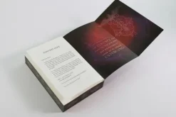 Loewe Verlag GmbH Krimis, Thriller, Horror-Academy of Lies (Band 2) - Autopsie einer Intrige