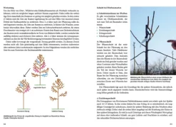 Agroforstpraxis in der Schweiz*Haupt Verlag AG Best
