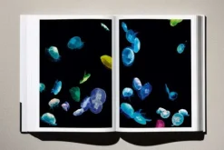 Taschen GmbH Künstler:Innen Im Fokus*Albert Watson. Kaos