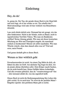 Reichenbacher Publishing Ratgeber|Ratgeber*ALLES, WAS EIN TEENAGE-JUNGE ÜBER DAS ERWACHSENWERDEN WISSEN MUSS