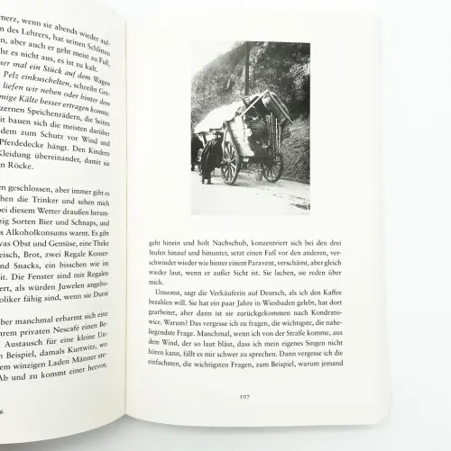 Alles, was wir nicht erinnern*dtv Verlagsgesellschaft New