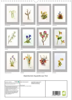 Calvendo Wandkalender*Alpenblumen Aquarelle aus Tirol (Wandkalender 2026 DIN A3 hoch), Monatskalender