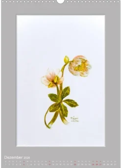 Calvendo Wandkalender*Alpenblumen Aquarelle aus Tirol (Wandkalender 2026 DIN A3 hoch), Monatskalender