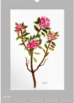 Calvendo Wandkalender*Alpenblumen Aquarelle aus Tirol (Wandkalender 2026 DIN A3 hoch), Monatskalender