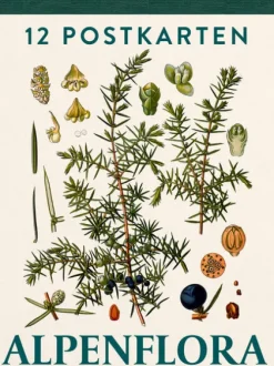 Alpenflora*Pustet Anton Hot