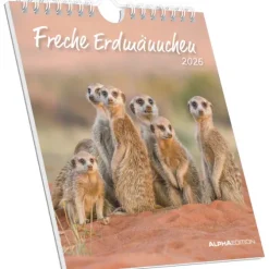 teNeues Calendars & Stationery GmbH & Co. KG Postkartenkalender-Alpha Edition - Freche Erdmännchen 2026 - Postkartenkalender 16×17 cm mit 53 witzigen Motiven, dekorativer Tisch- & Wandkalender auf FSC-Papier, zum Verschicken, Sammeln & Verschenken