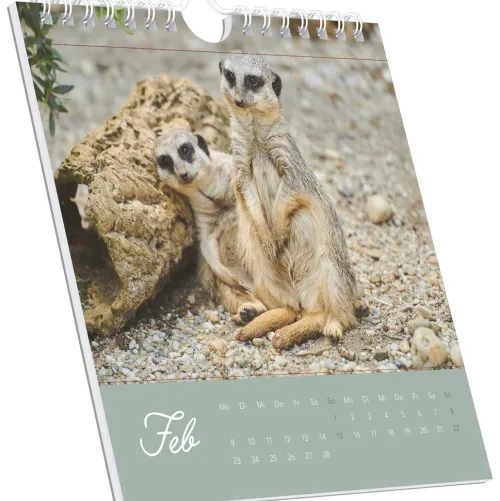 teNeues Calendars & Stationery GmbH & Co. KG Postkartenkalender-Alpha Edition - Freche Erdmännchen 2026 - Postkartenkalender 16×17 cm mit 53 witzigen Motiven, dekorativer Tisch- & Wandkalender auf FSC-Papier, zum Verschicken, Sammeln & Verschenken