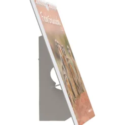 teNeues Calendars & Stationery GmbH & Co. KG Postkartenkalender-Alpha Edition - Freche Erdmännchen 2026 - Postkartenkalender 16×17 cm mit 53 witzigen Motiven, dekorativer Tisch- & Wandkalender auf FSC-Papier, zum Verschicken, Sammeln & Verschenken