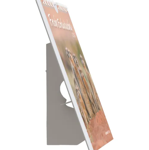 teNeues Calendars & Stationery GmbH & Co. KG Postkartenkalender-Alpha Edition - Freche Erdmännchen 2026 - Postkartenkalender 16×17 cm mit 53 witzigen Motiven, dekorativer Tisch- & Wandkalender auf FSC-Papier, zum Verschicken, Sammeln & Verschenken