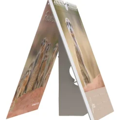 teNeues Calendars & Stationery GmbH & Co. KG Postkartenkalender-Alpha Edition - Freche Erdmännchen 2026 - Postkartenkalender 16×17 cm mit 53 witzigen Motiven, dekorativer Tisch- & Wandkalender auf FSC-Papier, zum Verschicken, Sammeln & Verschenken