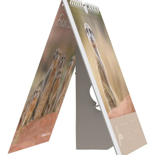 teNeues Calendars & Stationery GmbH & Co. KG Postkartenkalender-Alpha Edition - Freche Erdmännchen 2026 - Postkartenkalender 16×17 cm mit 53 witzigen Motiven, dekorativer Tisch- & Wandkalender auf FSC-Papier, zum Verschicken, Sammeln & Verschenken