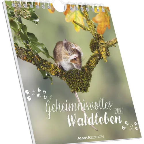 Alpha Edition - Geheimnisvolles Waldleben 2026 - Postkartenkalender 16×17 cm mit 53 Naturmotiven, FSC-zertifiziert, als Tisch- & Wandkalender nutzbar, perforierte Karten zum Verschicken & Sammeln*teNeues Calendars & Stationery GmbH & Co. KG