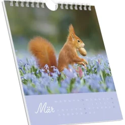 Alpha Edition - Geheimnisvolles Waldleben 2026 - Postkartenkalender 16×17 cm mit 53 Naturmotiven, FSC-zertifiziert, als Tisch- & Wandkalender nutzbar, perforierte Karten zum Verschicken & Sammeln*teNeues Calendars & Stationery GmbH & Co. KG