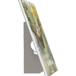 Alpha Edition - Geheimnisvolles Waldleben 2026 - Postkartenkalender 16×17 cm mit 53 Naturmotiven, FSC-zertifiziert, als Tisch- & Wandkalender nutzbar, perforierte Karten zum Verschicken & Sammeln*teNeues Calendars & Stationery GmbH & Co. KG