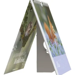 Alpha Edition - Geheimnisvolles Waldleben 2026 - Postkartenkalender 16×17 cm mit 53 Naturmotiven, FSC-zertifiziert, als Tisch- & Wandkalender nutzbar, perforierte Karten zum Verschicken & Sammeln*teNeues Calendars & Stationery GmbH & Co. KG