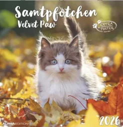 teNeues Calendars & Stationery GmbH & Co. KG Posterkalender-Alpha Edition - Samtpfötchen Kalender 2026 - Wandkalender & Bildkalender 30x30 cm (30x60 cm geöffnet) mit süßen Katzenmotiven, inkl. Poster, für Katzenliebhaber & Tierfreunde