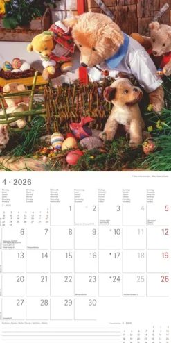 Alpha Edition - Teddy Kalender 2026 - Bildkalender & Wandkalender im Broschürenformat 30×30 cm, aufgeklappt 30×60 cm mit 12 liebevollen Teddy-Motiven & Poster, FSC-zertifiziert*teNeues Calendars & Stationery GmbH & Co. KG Sale