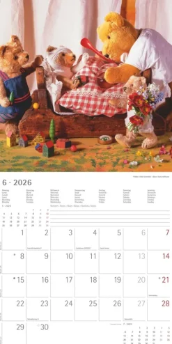 Alpha Edition - Teddy Kalender 2026 - Bildkalender & Wandkalender im Broschürenformat 30×30 cm, aufgeklappt 30×60 cm mit 12 liebevollen Teddy-Motiven & Poster, FSC-zertifiziert*teNeues Calendars & Stationery GmbH & Co. KG Sale