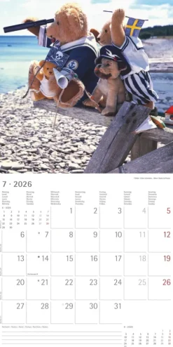 Alpha Edition - Teddy Kalender 2026 - Bildkalender & Wandkalender im Broschürenformat 30×30 cm, aufgeklappt 30×60 cm mit 12 liebevollen Teddy-Motiven & Poster, FSC-zertifiziert*teNeues Calendars & Stationery GmbH & Co. KG Sale