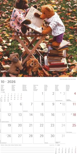 Alpha Edition - Teddy Kalender 2026 - Bildkalender & Wandkalender im Broschürenformat 30×30 cm, aufgeklappt 30×60 cm mit 12 liebevollen Teddy-Motiven & Poster, FSC-zertifiziert*teNeues Calendars & Stationery GmbH & Co. KG Sale