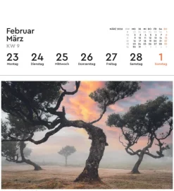 Alte Bäume - KUNTH Postkartenkalender 2026*Kunth Kalender Discount
