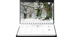 Kunth Kalender Wochenkalender*Alte Bäume - KUNTH Tischkalender 2026