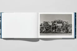 Taschen GmbH Künstler:Innen Im Fokus*Amazônia
