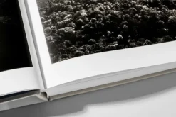 Taschen GmbH Künstler:Innen Im Fokus*Amazônia