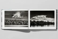 Taschen GmbH Künstler:Innen Im Fokus*Amazônia